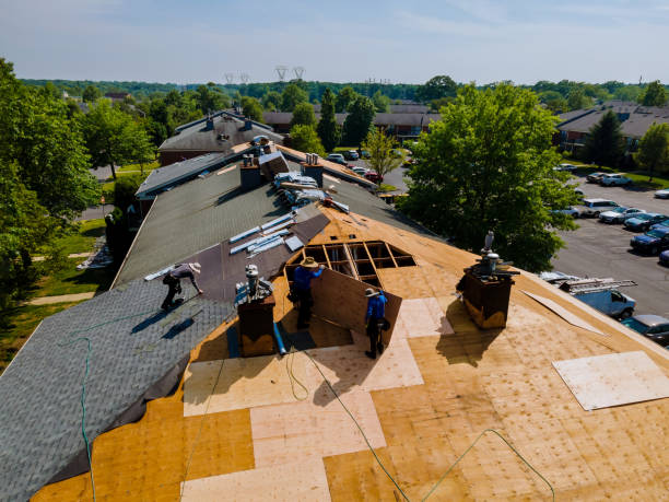 Trusted Flat Roof Repair service in Myrtle, MS - Brentwood Metal Roofing
